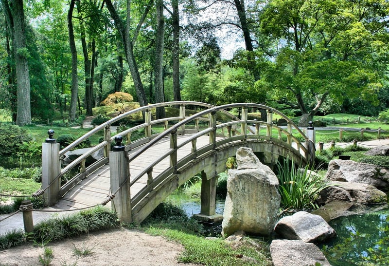 Zen garden plants